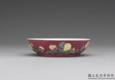 图片[2]-Dish with chrysanthemum in red ground in falangcai painted enamels, Qing dynasty, Yongzheng reign (1723-1735)-China Archive